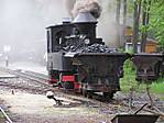 116993317_mit_kohlelore.jpg
