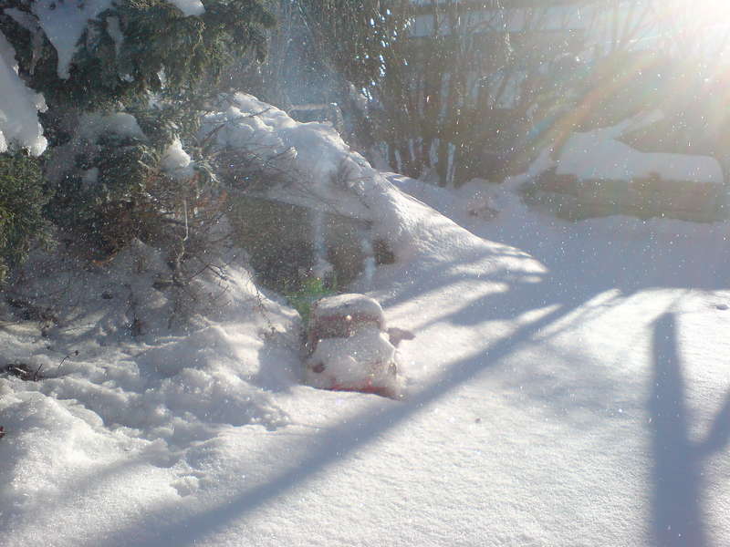 Schneeschleuder_extrem5