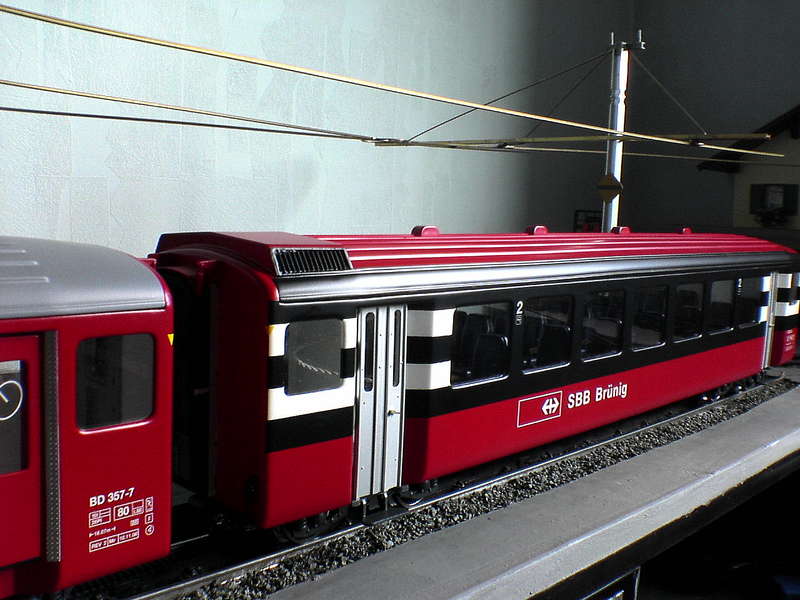 GoldenPass_Zebra