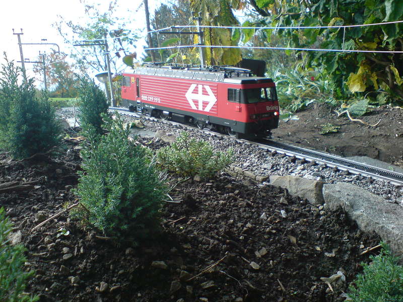 Gartenbahn_38