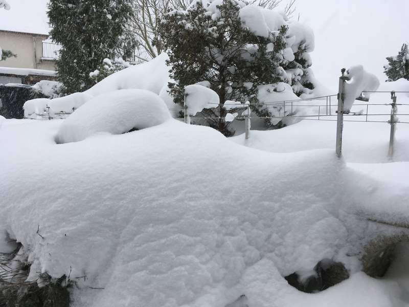 SchneeBernina_01