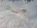 32DSC00012.JPG