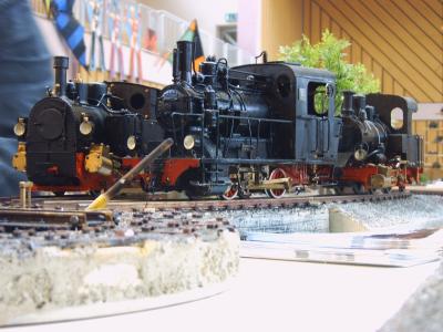 IMG00117_klein