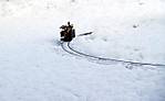 547Molli_im_Schnee3_klein.jpg