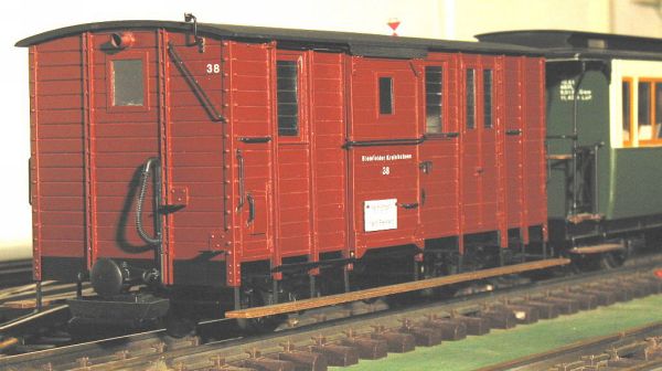 PawgM100-31