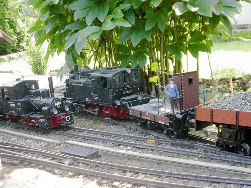 Rollbockzug begegnet 99 5804