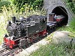 15899_6102_mit_Rollbockzug_am_Tunnel_2.JPG