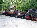 15899_6102_mit_Rollbockzug_im_Bahnhof.JPG