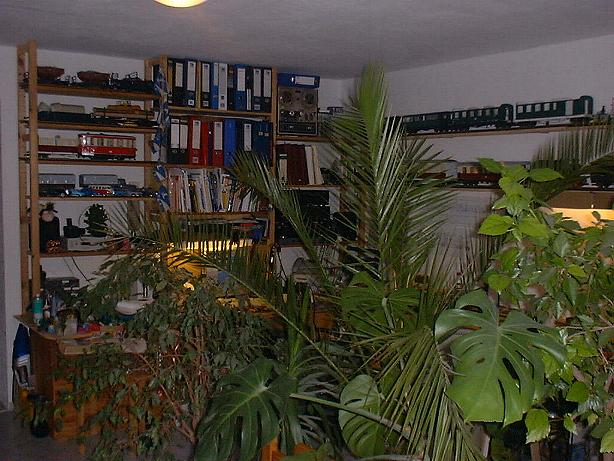 Dschungel
