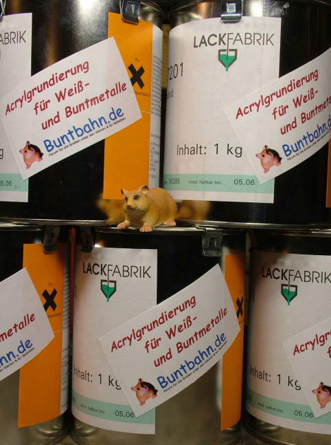 Bild