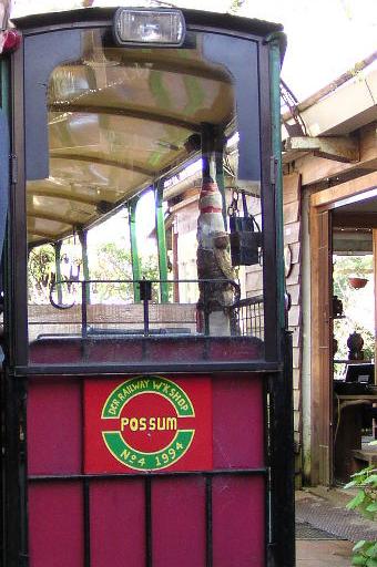 front_4