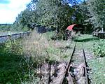 497Bild003.jpg