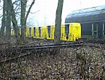 497DSC00027.JPG