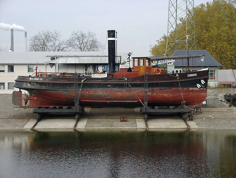 Cerberus01