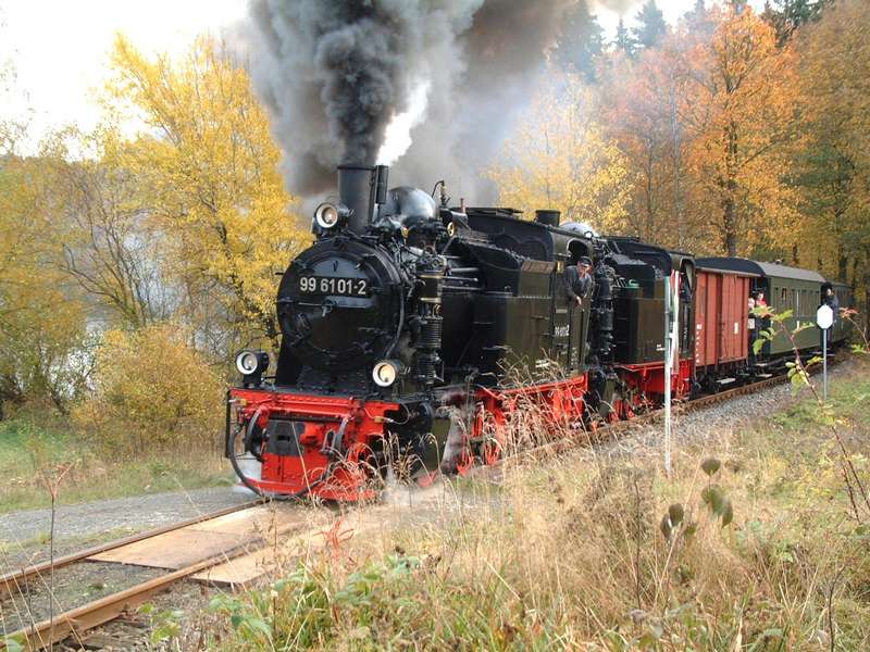 Schwarzer Rauch und bunte Blätter