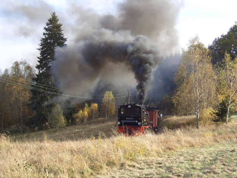 Selketalbahn 8