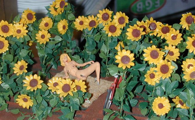 Sonnenblumen