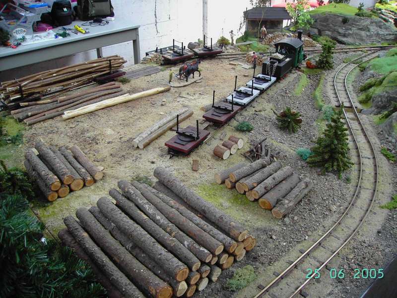 Waldbahn01