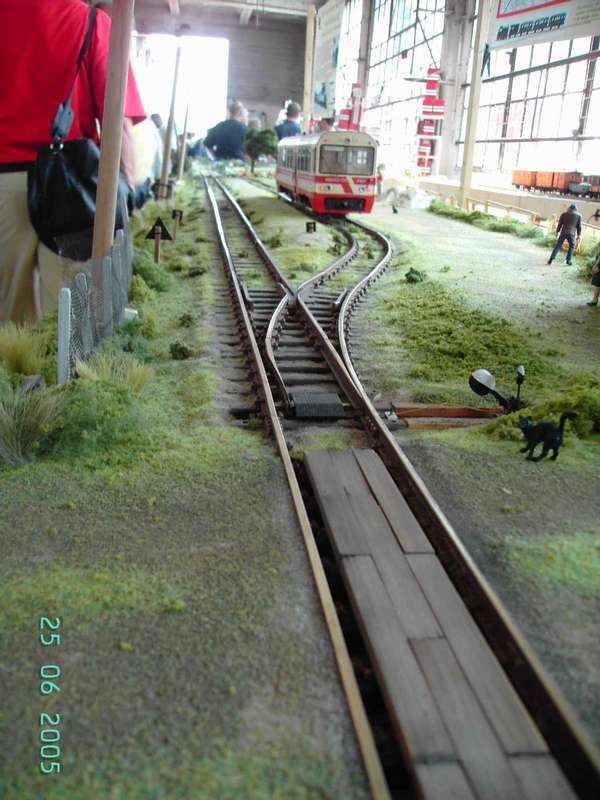 pm01