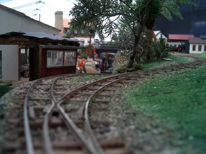 Driving Creek Railway