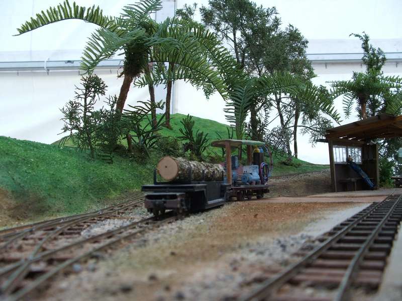 Driving Creek Railway