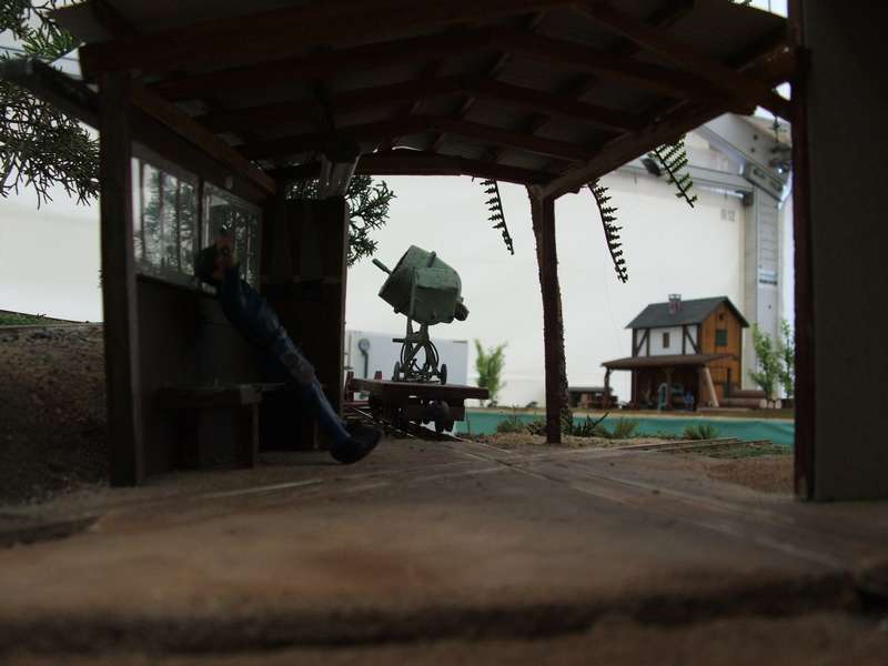 Driving Creek Railway