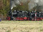 2316101-2.jpg
