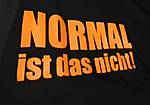 231Normalit_t.jpg