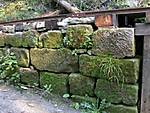 2dscn6177.jpg