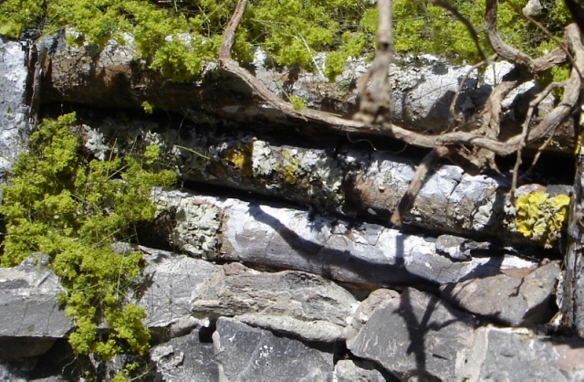 Hangsicherung_Detail