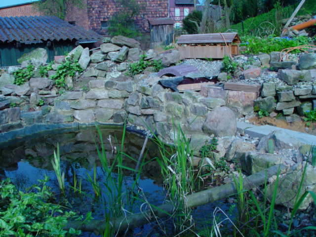 DSC02108