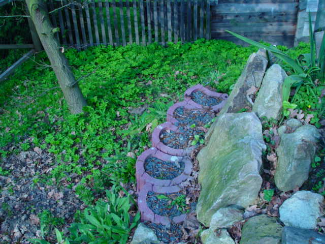 DSC02110