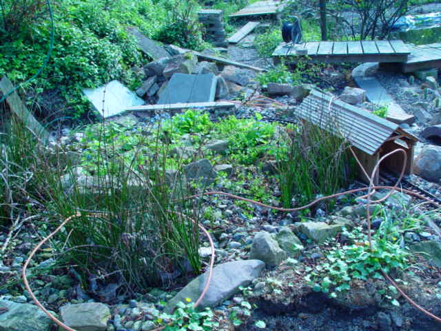 DSC02113