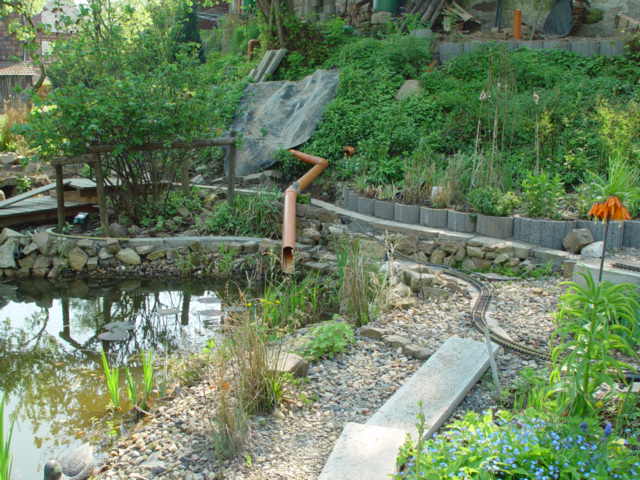 DSC03709