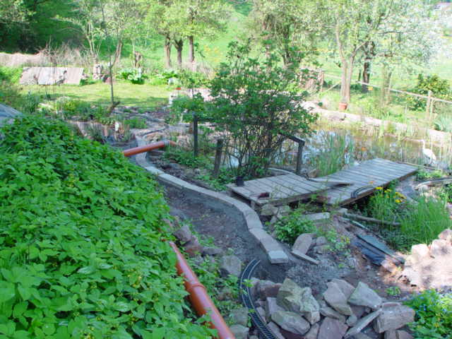 DSC03717