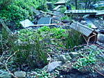 657DSC02113.JPG