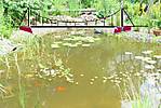 657DSC02221ab.jpg