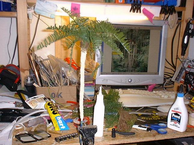 Bild