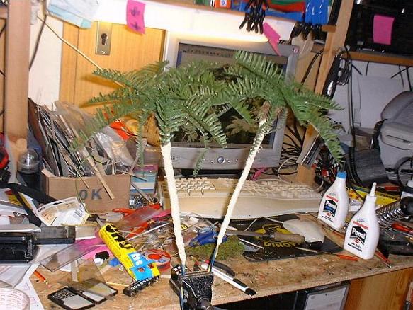 Bild