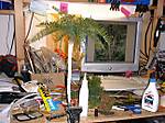 567Farn_02.JPG