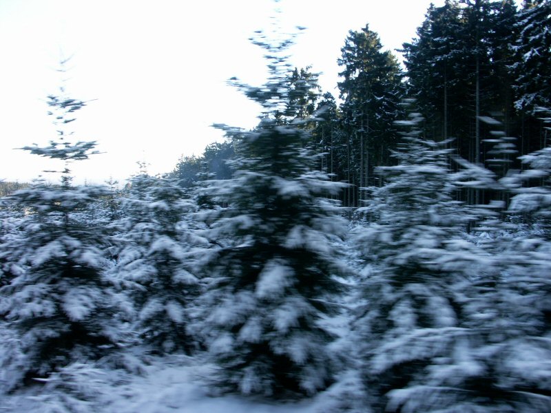 PICT0089