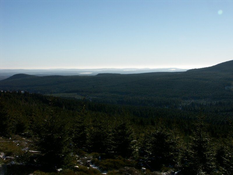 PICT0091