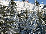 407PICT0095.JPG