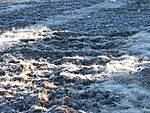 407PICT0024.JPG