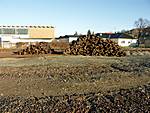 407PICT0033.JPG