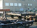 407PICT0034.JPG