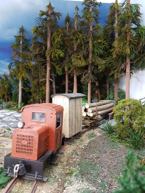 Waldbahn,1/22,5-04