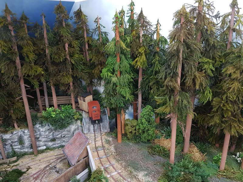 Waldbahn,1/22,5-05