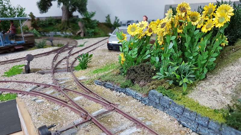Sonnenblumen