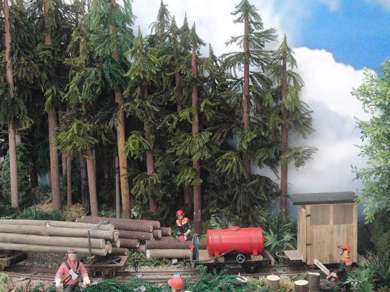 Waldbahn,1/22,5-06